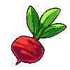 Beetroot.png