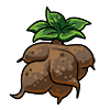 CavePotato.png