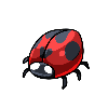 Ladybug.png