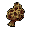 Mushroom12.png