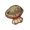 Mushroom2.png