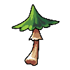 Mushroom5.png