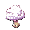 Mushroom6.png