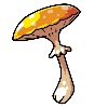 Mushroom9.png