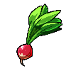 Raddish.png