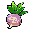 Turnip.png