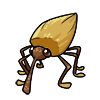 AcornWeevil.png