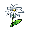 FlowerDaisy.png