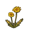 FlowerDandelion.png
