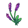 FlowerLavender.png