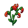FlowerSpicefire.png