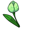 FlowerTulip.png